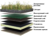 Газон на крыше технология