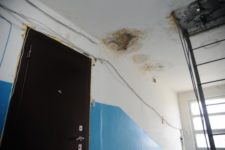 Потекла крыша в квартире что делать?