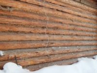 Птицы вытаскивают паклю из сруба что делать?