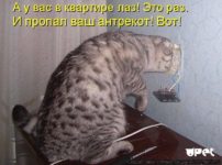 Слышно соседей через стену что делать?