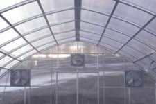 Срок службы поликарбоната на крыше